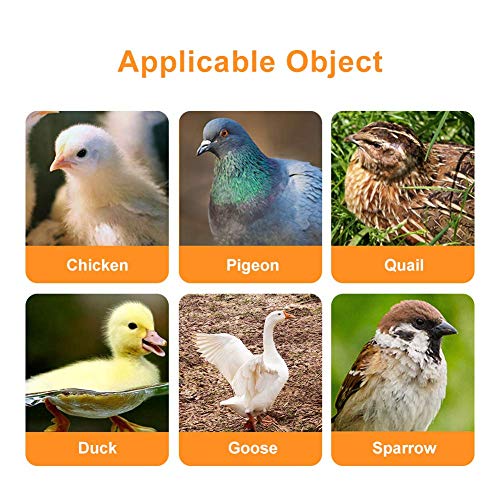 5 Stücke Automatische Huhn Trinkbrunnen Geflügel Bewässerung Tassen Schalen Dispenser Rot Kunststoff Hinterhöfe Huhn Flock Ente Vogel Wasser Feeder für Tauben Wachtel Henne Truthähne Gänse (25 mm) – Bild 3