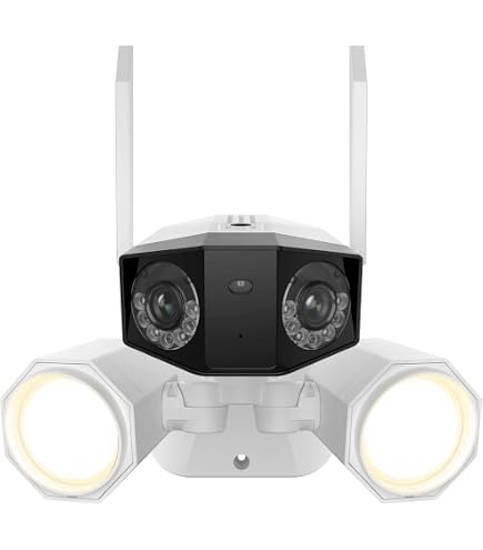 Amazon.com: REOLINK 4K Floodlight Outdoor Security Camera with