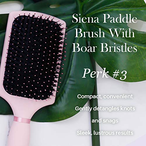 L’ange Hair Siena Paddle Nylon/Boar Brush Helps Groom and Detangle