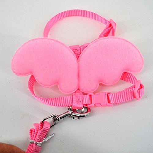 Budd Pet Dog Leash Adjustable Harness Puppy Leads and Collars Set for Small Doggie Kitten Vest Strap with Angel Wings (Pink,S)