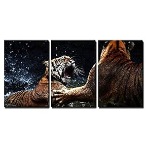 Tiger Attack to Other Tiger x3 Panels