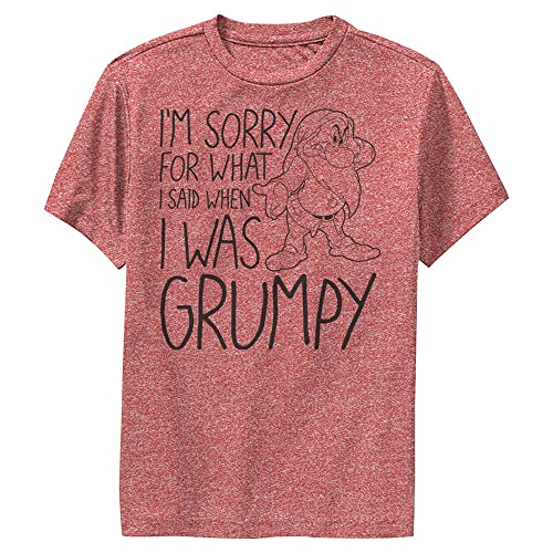 Disney Boy's I Was Grumpy T-Shirt, Red Heather, Large