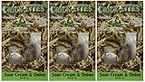 Crick-ettes - Sour Cream & Onion Flavored Cricket Snacks (3 Pack)
