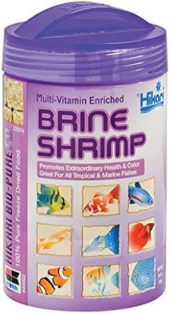 brine shrimp for betta fish