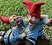 Zombie Gnomes: I Live