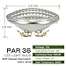 Haian Support PAR36 LED Landscape Bulb,6W 700LM 35W Halogen Equivalent,3000K Warm White,12V AC/DC,Water Resistant,PAR36 LED Bulb for Landscape Lighting,Off-Road Vehicles,RV Vehicles,Tractor (1 Pack)