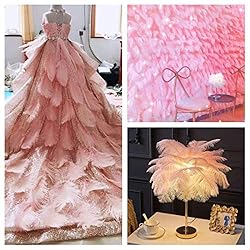 24pcs Natural Lotus Pink Ostrich Feathers 10-12inch
