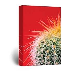 Canvas Wall Art - A Cactus on Red Background - Giclee Print Gallery Wrap Modern Home Art Ready to Hang - 12x18 inches