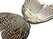 Pheasant Feathers - 1 Pair of Ringneck Pheasant Complete Wing Feathers