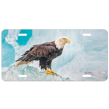 Amazoncom Liplate Auto License Plate Tin Sign Black