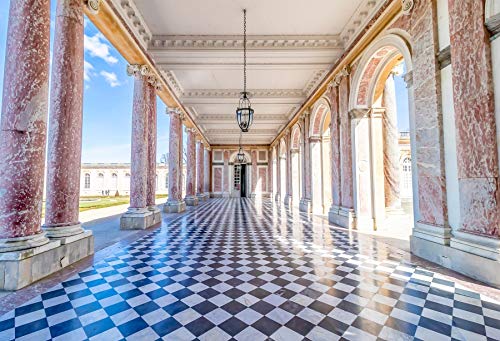 LFEEY 5x3ft Versailles Backdrop Famous Scenic Spots in France Photography Background Historic Building Mosaic Floor Blue Sky Holiday Party Backdrop Wedding Shooting Photo Studio - Thumbnail 4