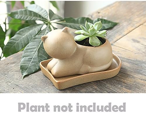 Anydo Mini Planter Cute Animal Archaistic Style Decorative Bisque Ceramic Cactus Succulent Plant Pot Flowerpot with Tray - Cat