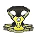 PoyPet No Pull Dog Harness, Reflective Comfortable Vest Harness with Front & Back 2 Leash Attachments and Easy Control Handle Adjustable Soft Padded Pet Vest for Small to Large Dogs (Green,XL)