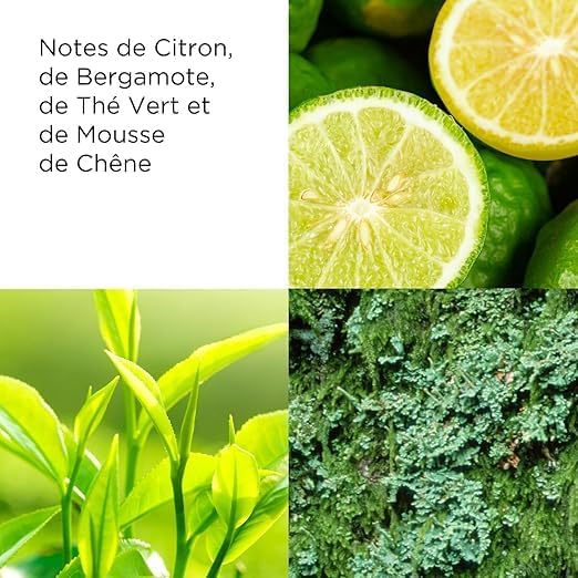 Green Tea Lotion Rafraîchissante pour le Corps