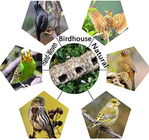 Tfwadmx Hand Woven Hummingbird Houses Nest, Small Hanging Audubon