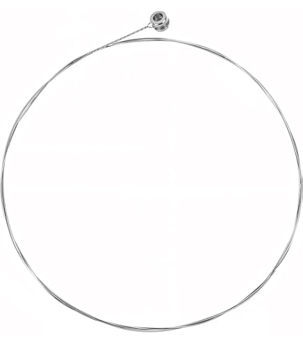 Amazon.com: 5pcs Acoustic Guitar High E Strings Well