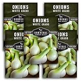 Survival Garden Seeds - White Grano Onion Seed for