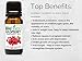 BioFinest Raspberry Seed Organic Oil - 100% Pure Cold-Pressed - Best Moisturizer For Hair, Face & Skin - Essential Omega-6, Antioxidant, Vitamin A & E - FREE E-Book (10ml)