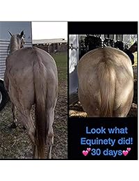 Equinety Horse XL 600gm