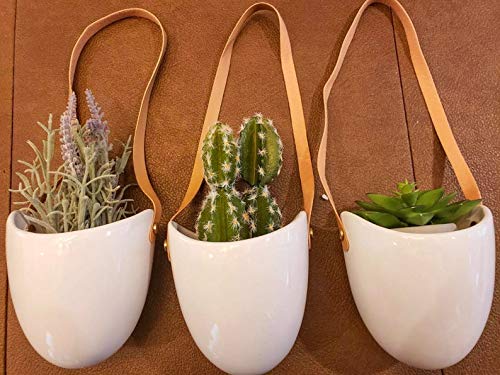 Comprar Macetas Colgantes Pared interior,Ronda Metal Montaje de Pared