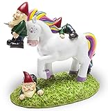 Best 5 Unicorn Squirrel Head Feeder Oh My Unicorn