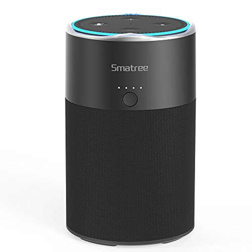 Top 5 Best Speakers for Echo Dot in 2018 Complete Review BestBix