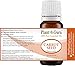 Carrot Seed Essential Oil 10 ml 100% Pure Undiluted Therapeutic Grade.