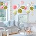 Pink and Gold Party Decorations, Pom Poms Flowers Kit + Star Paper Garland + Tissue Paper lantern for 1st Birthday Girl Decorations Kids Birthday Bridal Shower Baby Shower wedding by Litaus
