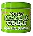 Murphy's Naturals Mosquito & Flying Insect Repellent Candle