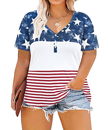 CARCOS Color Block V Neck Tunic Top