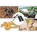 Vipe Reptile Heating Pad Heat Mat Under Tank Heating Pad US Plug 110V 5W Reptile Tank Warmer with Temperature Controller (5W 14x15CM)