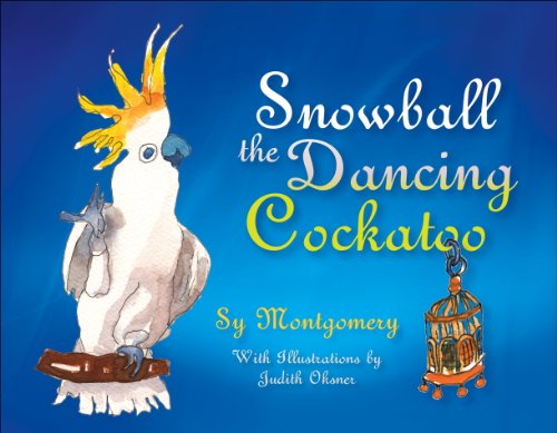 Snowball: The Dancing Cockatoo