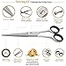 Professional Hair cutting Scissor Barber Salon
