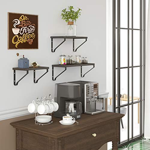ZGO Floating Shelves for Wall Set of 3, Wall Mounted Storage Shelves