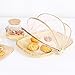 Hand-Woven Food Serving Tent Basket, Fruit Vegetable Bread Cover Storage Container Outdoor Picnic Food Cover Mesh Tent Basket with Gauze(Bug- Proof, Dust-Proof) Keep Out Flies, Bugs, Mosquitoes