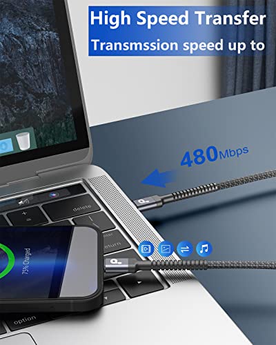 USB C to USB C Cable 10FT Type C Cable USBC Cable PD Fast Charging Cord Compatible for iPhone 17 16 15 Samsung S23 S22 Ultra Pixel iPad Air 4 iPad Pro 2021 MacBook Air (2Pack)