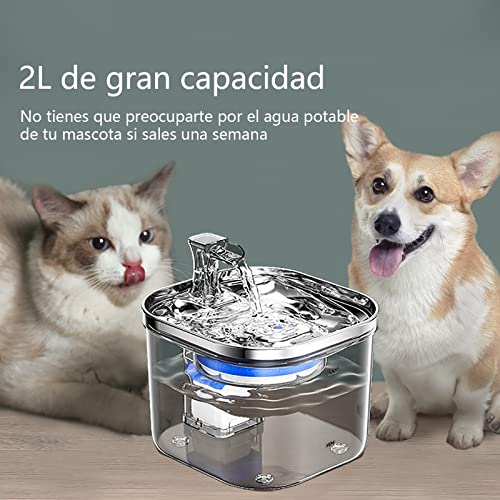 LKUWEE Bebedero para Gato, 304 Acero Inoxidable Fuente para Gato, 67oz/2 L, Ultrasilencioso y Sistema de Filtración de Agua Circulante de Fuente de Agua para Gatos, Dispensador de Agua para Perro
