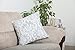 TreeWool Damask Accent Spring Summer 22x22 Set of 2 Decorative Throw Pillow Covers 100% Cotton Home Decor Pillowcases for Sofa Couch (Silver Gray)