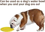 Vivifying 2 Pack 7 Inch Natural Rubber Flying Disc Dog Frisbee Green Yellow view 4