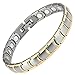 Willis Judd Womens Two Tone Titanium Magnetic Bracelet with Link Removal Tool, 7.5