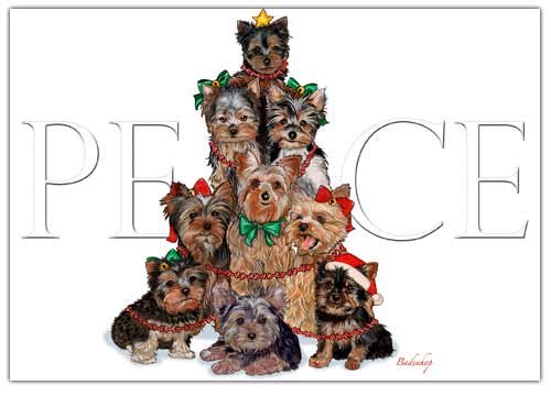 Yorkshire Terrier Christmas Cards Peace : 10 Holiday Cards with Red Envelopes - ADORABLE!