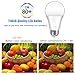 TIWIN A19 E26 LED Bulbs 100 watt Equivalent (11W),Daylight (5000K),1100lm, CRI80+, General Purpose Light Bulb, UL Listed, Pack of 3