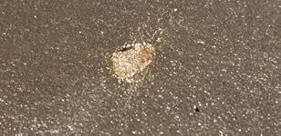 Review Image by A Vanm