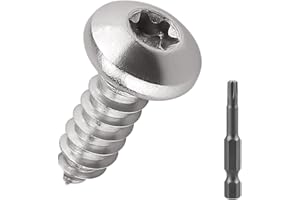 FAYEPLOO #10 x 3/8" Torx Pan Head Sheet Metal Screws, 304 Stainless Steel 18-8 Self Tapping Screws for Metal & Wood & Plastic, 100-Pack with Torx Bit