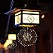 Solar String Lights, totobay 120LED Bouquet Shape Chandeliers Starburst Fairy Lights Solar Powered Operated Outdoor String Lights Waterproof Decorative Light Dimmable, Copper Wire Lights (Warm Light)