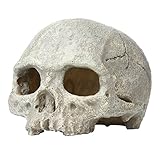 Saim Aquarium Decor Resin Emulational Human Skull Ornament