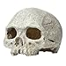 Saim Aquarium Decor Resin Emulational Human Skull Ornament
