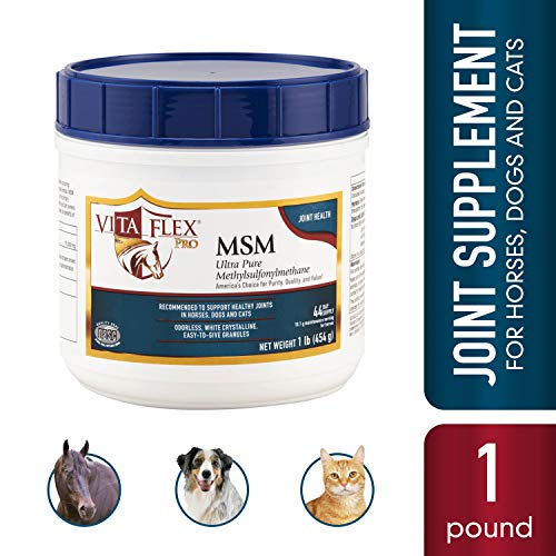 Vita Flex Pro MSM Joint Supplement | Odorless | For Horses, Ponies, Dogs and Cats | 1 lb