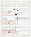 ColorProof Evolved Color Care Biorepair-8 