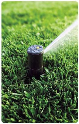 Rain Bird 3504-PC Part Circle Rotor Pop-Up Sprinkler